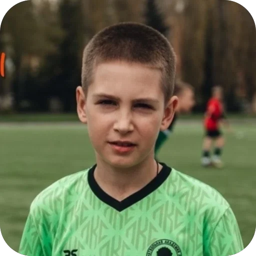 Стикер пикми лкс