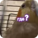 Набор стикеров