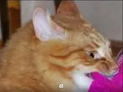 Стикер po rzhat'