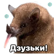 Набор стикеров