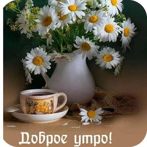 Стикер Пожелания Разное