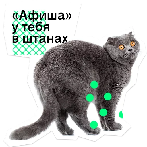 Стикер Pose