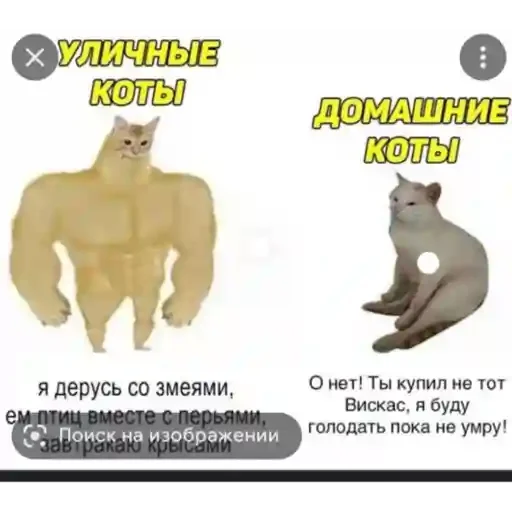 Стикер Приколы