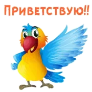 Набор стикеров