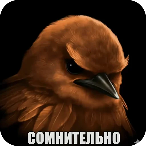 Стикер Birds Memes