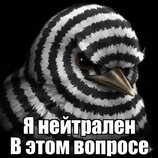 Стикер Birds Memes