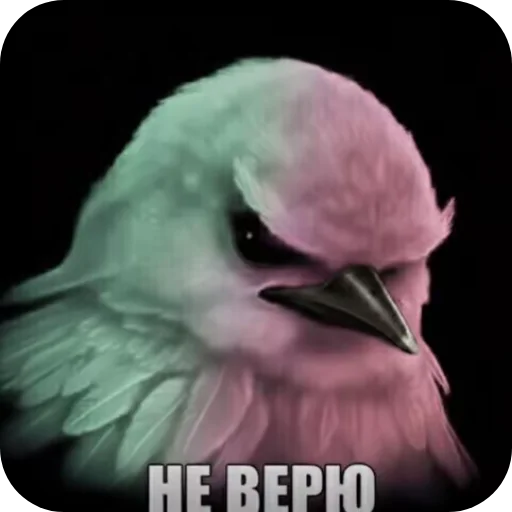 Стикер Birds Memes