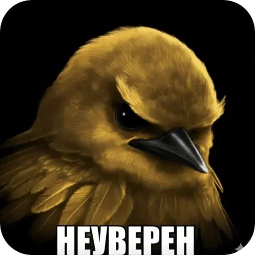 Стикер Birds Memes