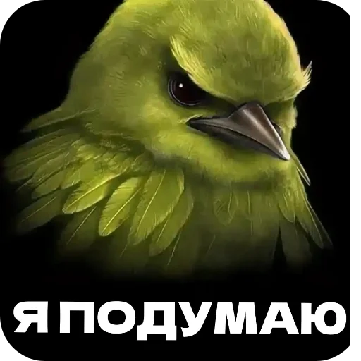 Стикер Птички от флоки