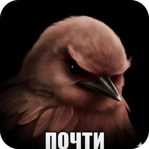 Стикер Birds Memes