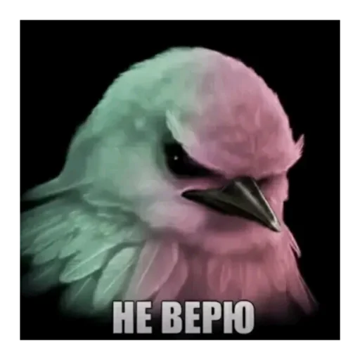 Стикер Birds Memes