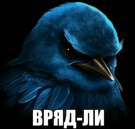 Стикер Birds Memes