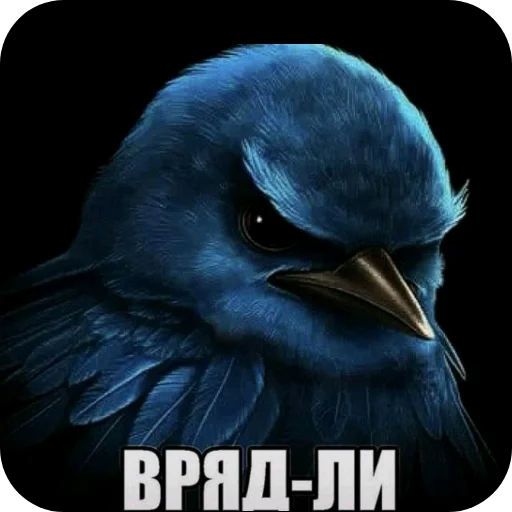 Стикер Birds Memes