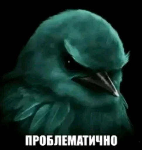 Стикер Birds Memes