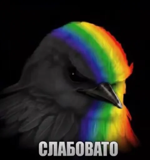 Набор стикеров