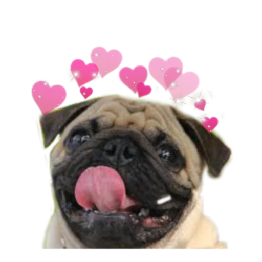 Стикер PUG