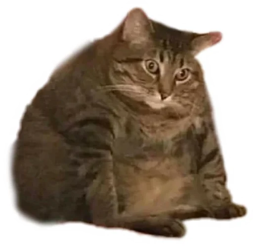 Стикер Round Animals