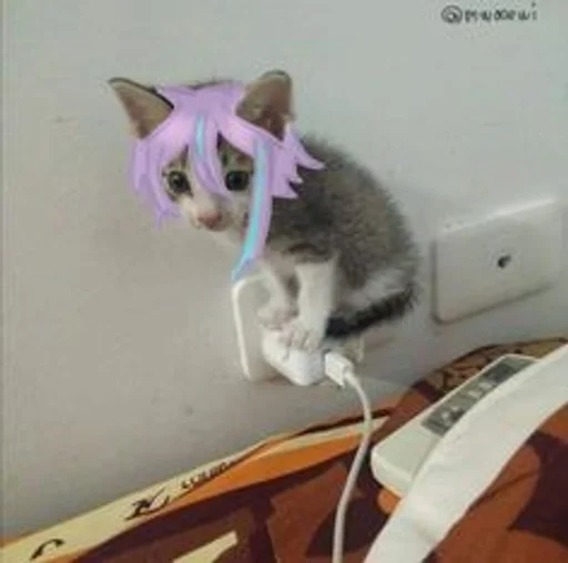 Стикер Kamishiro Rui