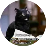 Стикер Кот Салем