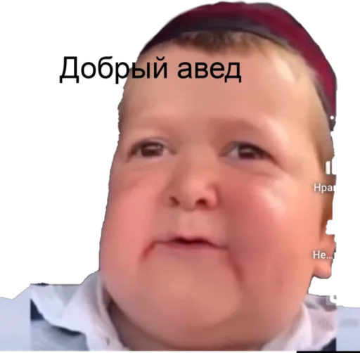 Набор стикеров