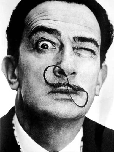 Стикер Salvador Dalí