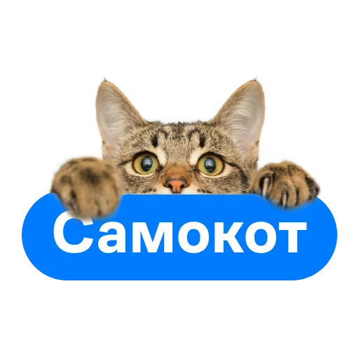 Стикер СамоКот