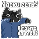 Стикер Коты