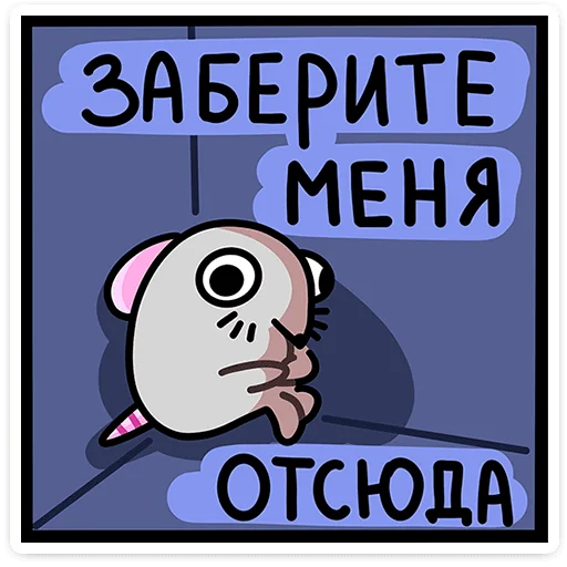 Набор стикеров