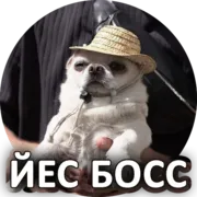 Набор стикеров