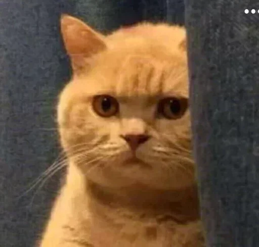 Стикер Send Proof