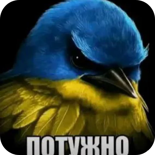 Стикер Birds Memes