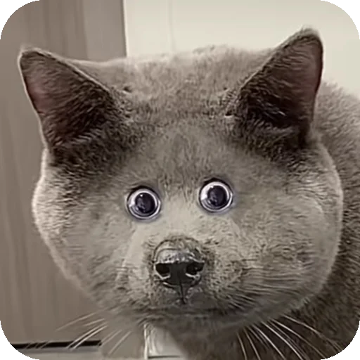 Стикер Серый котик