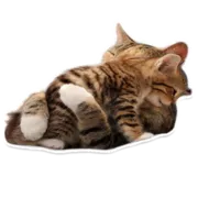 Стикер Sexy Animals