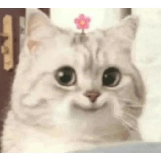 Стикер котики