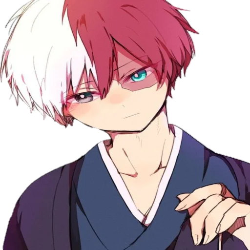 Стикер Shoto Todoroki