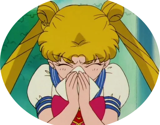 Стикер Sailor Moon