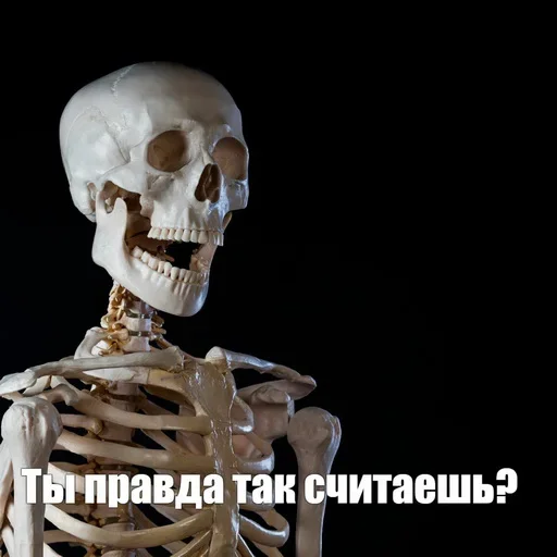 Стикер Скелето слэнг