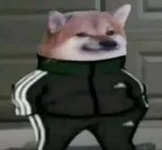 Стикер Slav Cheems