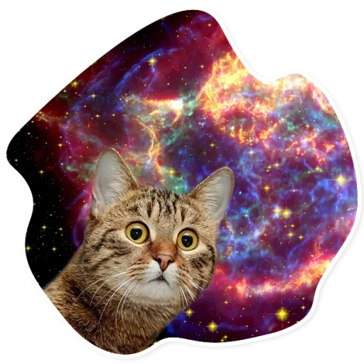 Стикер Space Cats