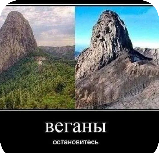 Стикер Wrenesseuse dreams епта