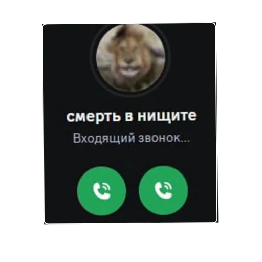 Набор стикеров