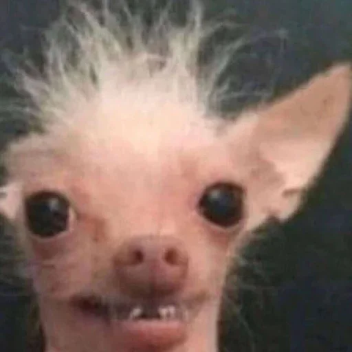 Стикер Moy pack