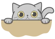 Стикер Stickers with Cat