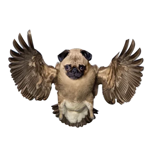 Стикер Strange Animals