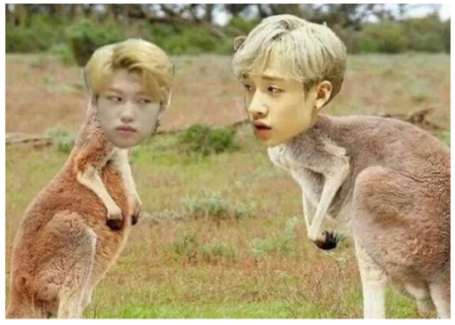 Стикер Stray Kids