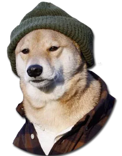 Стикер Stupud dog