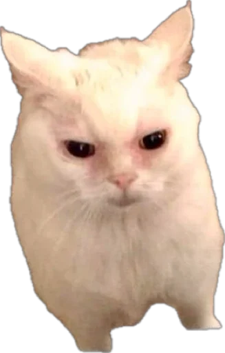 Стикер Sukruma