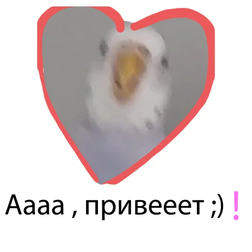 Набор стикеров