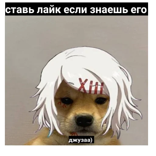 Набор стикеров