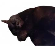 Стикер Информация о стикерах «Сладкая булочка